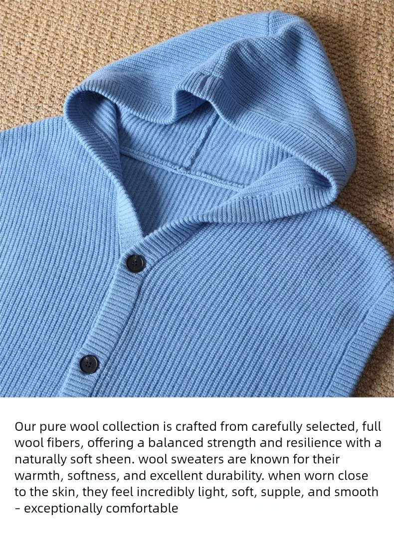 2025 Autumn/Winter Men's Vest 100% Merino Wool Knit Hooded Cardigan Casual Loose Sleeveless Solid Color Men's Cashmere Sweater