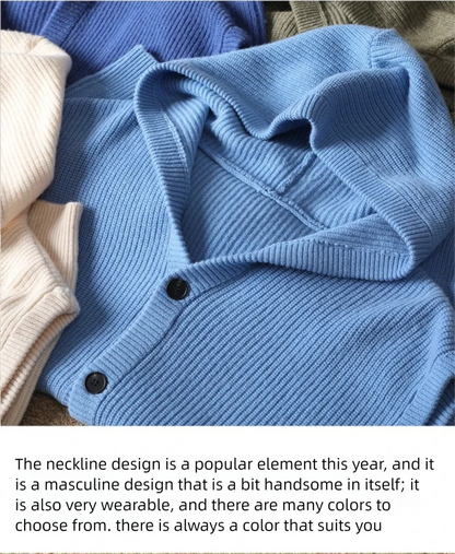 2025 Autumn/Winter Men's Vest 100% Merino Wool Knit Hooded Cardigan Casual Loose Sleeveless Solid Color Men's Cashmere Sweater