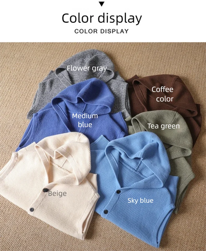 2025 Autumn/Winter Men's Vest 100% Merino Wool Knit Hooded Cardigan Casual Loose Sleeveless Solid Color Men's Cashmere Sweater