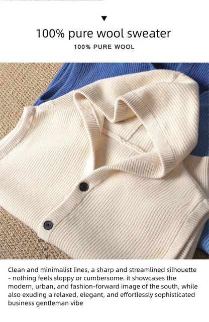 2025 Autumn/Winter Men's Vest 100% Merino Wool Knit Hooded Cardigan Casual Loose Sleeveless Solid Color Men's Cashmere Sweater