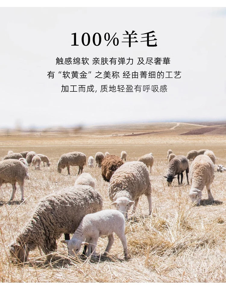Autumn/Winter 100% Pure Wool Men's O-Neck Thick Business Sweater Loose Casual Wool Knit Bottoming Shirt Men's Sweater