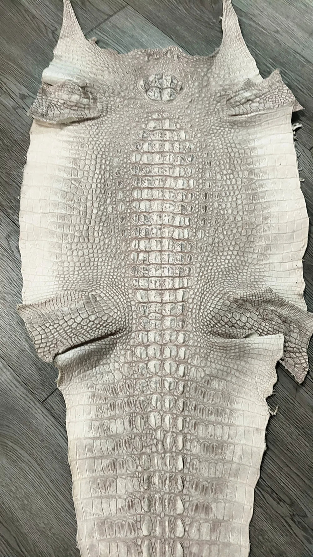 Himalayan white crocodile leather women's wallet authentic crocodile leather short women's wallet fashion design card bag