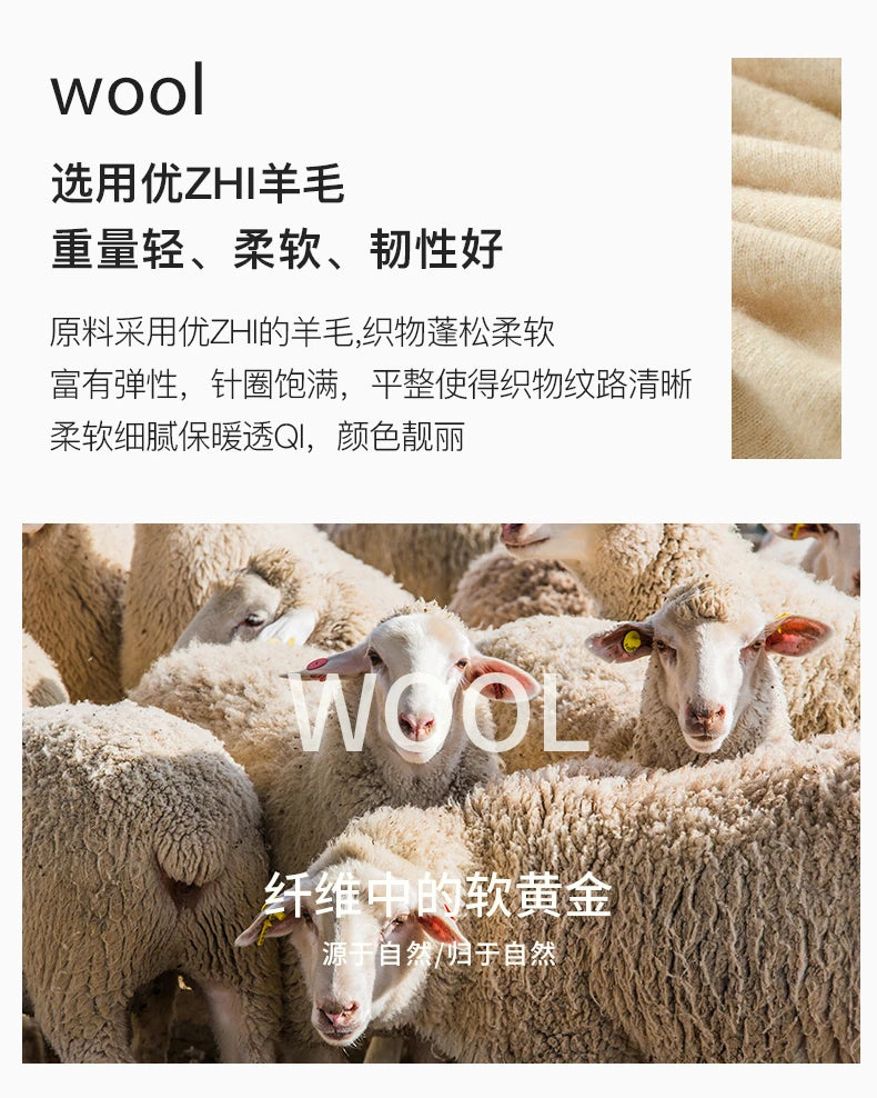 Men's 100% Merino Wool Sweater Hooded Collar Knitted Pullover Cashmere Sweatshirt Autumn Winter Casual Large Tops Long Sleeved