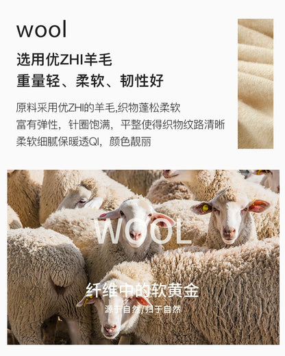 Men's 100% Merino Wool Sweater Hooded Collar Knitted Pullover Cashmere Sweatshirt Autumn Winter Casual Large Tops Long Sleeved